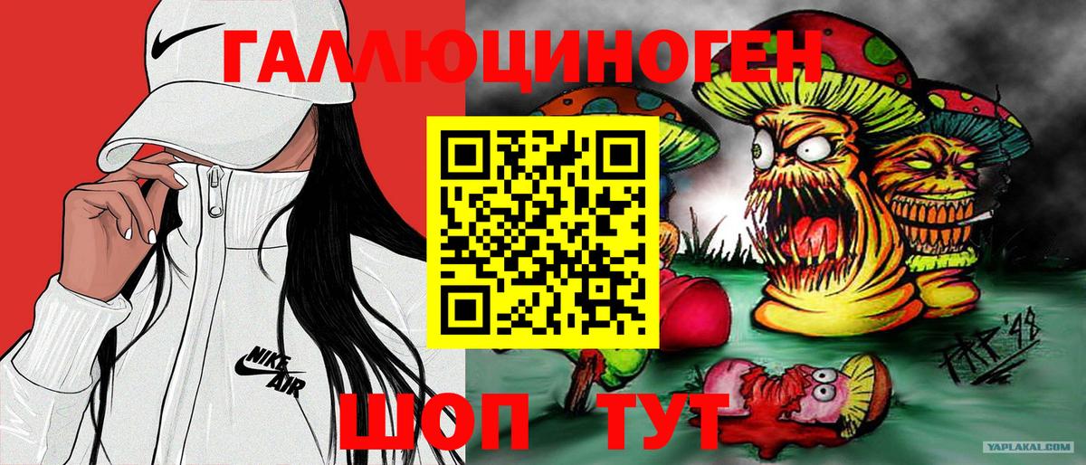 Псилоцибиновые грибы Cubensis Обнинск