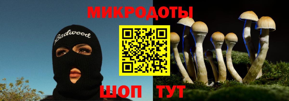 Обнинск  Псилоцибиновые грибы мухоморы  где купить наркоту  Вход с VPN 